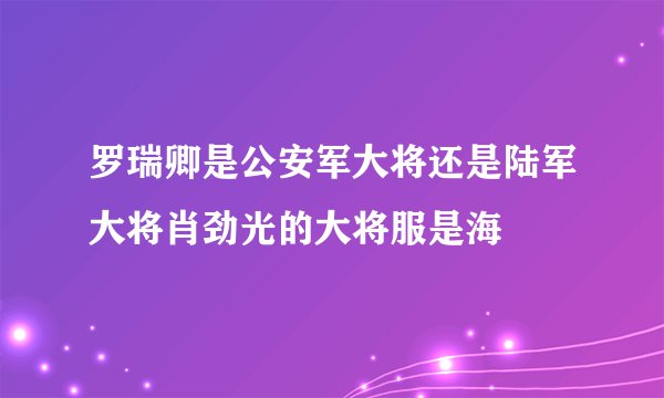 罗瑞卿是公安军大将还是陆军大将肖劲光的大将服是海