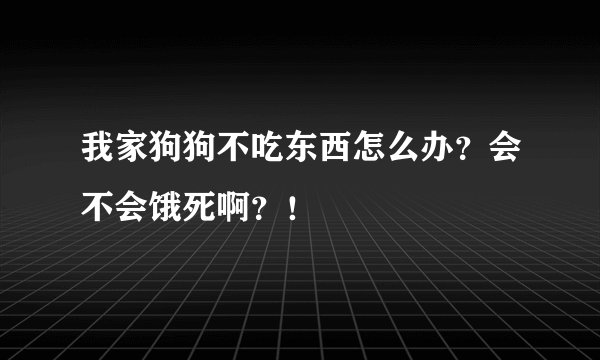 我家狗狗不吃东西怎么办？会不会饿死啊？！