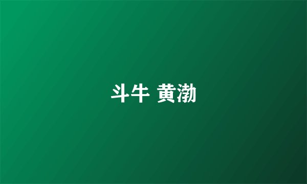斗牛 黄渤