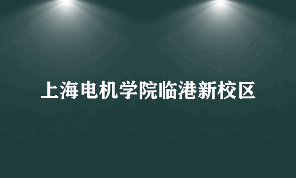 上海电机学院临港新校区