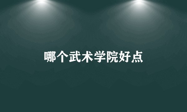 哪个武术学院好点