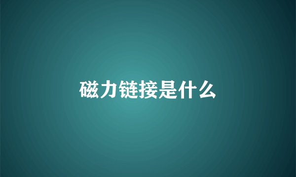 磁力链接是什么