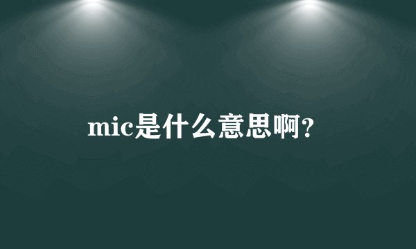 mic是什么意思啊？
