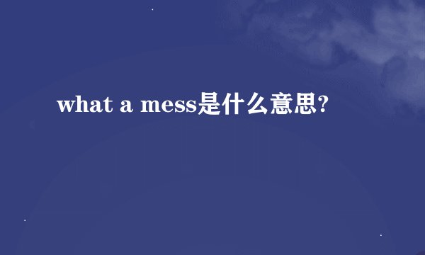 what a mess是什么意思?