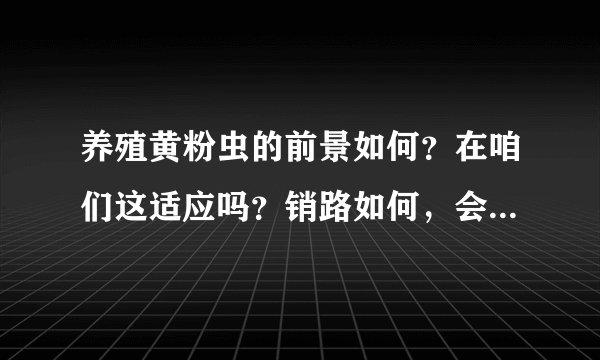 养殖黄粉虫的前景如何？在咱们这适应吗？销路如何，会不会是骗人的？