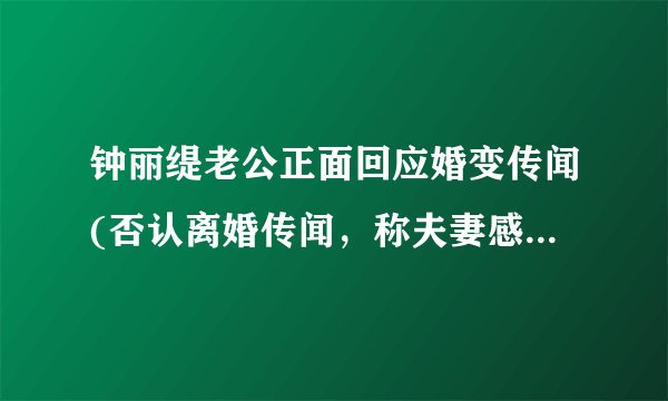 钟丽缇老公正面回应婚变传闻(否认离婚传闻，称夫妻感情稳定。)