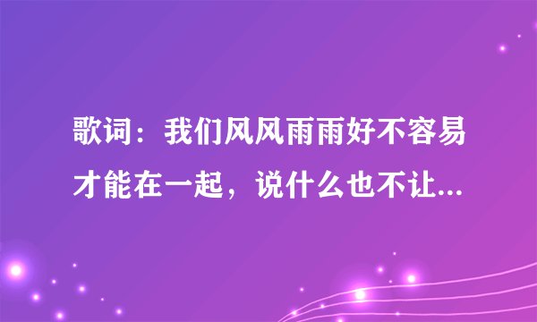 歌词：我们风风雨雨好不容易才能在一起，说什么也不让你再离我而去…… 歌名是什么？