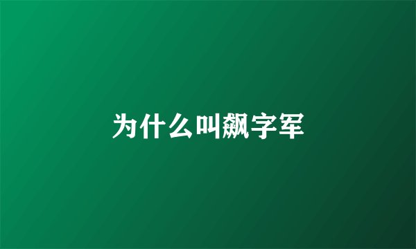 为什么叫飙字军