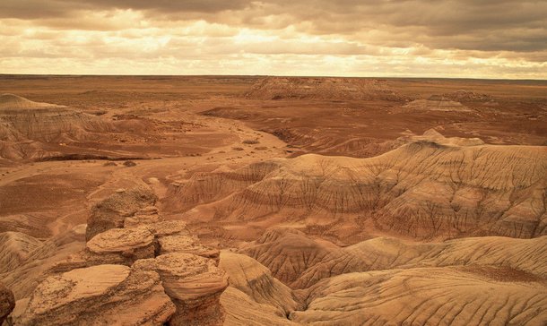 戈壁滩是什么意思