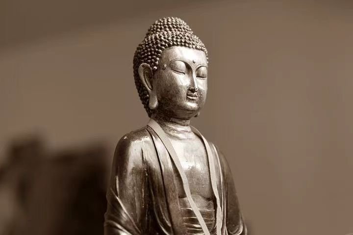 buddha是什么意思