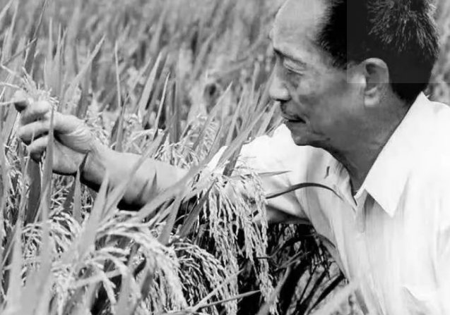 听大人说袁隆平死了 是真的么？