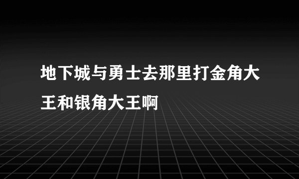 地下城与勇士去那里打金角大王和银角大王啊