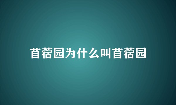 苜蓿园为什么叫苜蓿园
