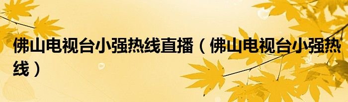 佛山电视台小强热线直播佛山电视台小强热线