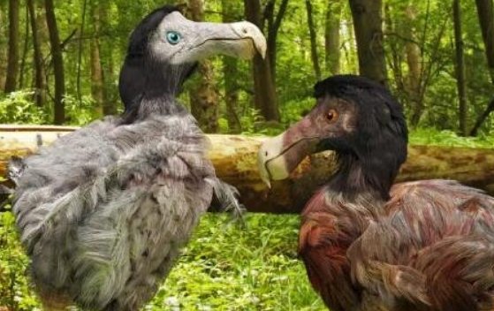 人类最想复活的动物