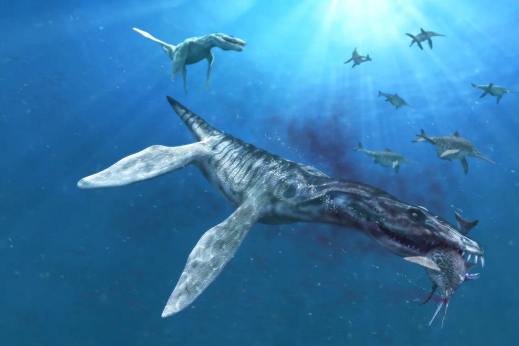 世界十大深海巨兽是哪十大？