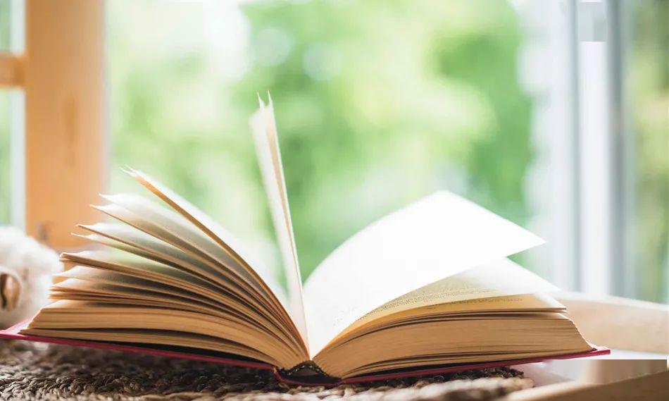 书是什么书是什么书是什么写句子?