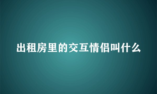 出租房里的交互情侣叫什么