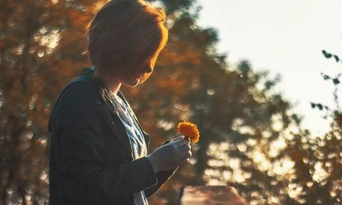 feelings是什么意思