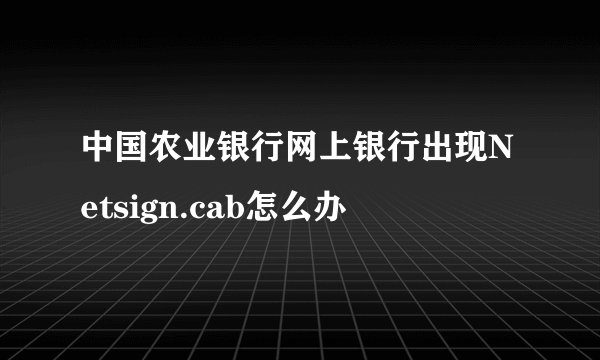 中国农业银行网上银行出现Netsign.cab怎么办