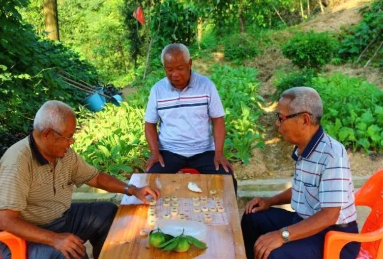 颐养天年意思解释