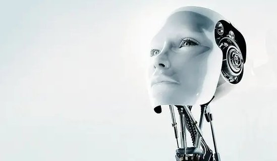 bot是什么意思？