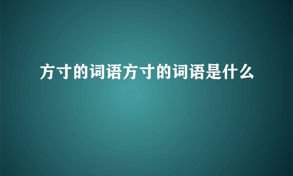 方寸的词语方寸的词语是什么