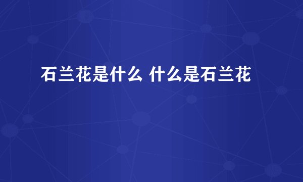 石兰花是什么 什么是石兰花