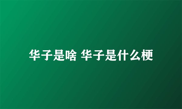 华子是啥 华子是什么梗