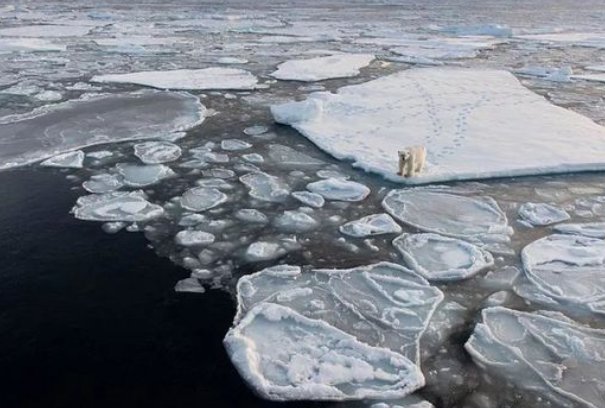 【单选题】当前国际社会讨论的全球气候变化问题,主要是指?