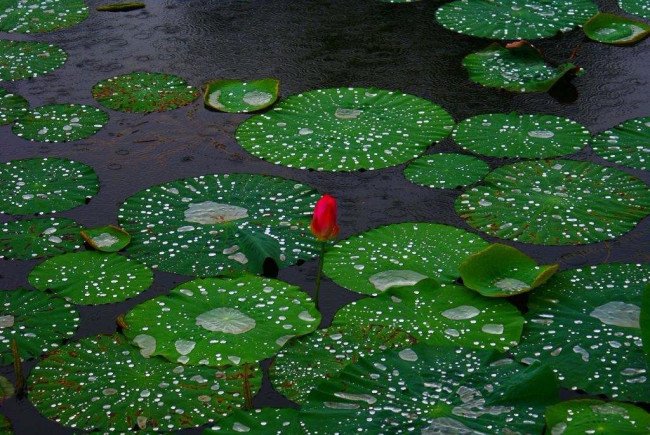 我是一个什么样的人写20句