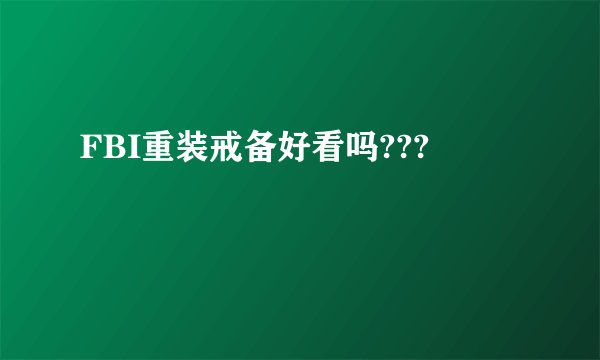 FBI重装戒备好看吗???