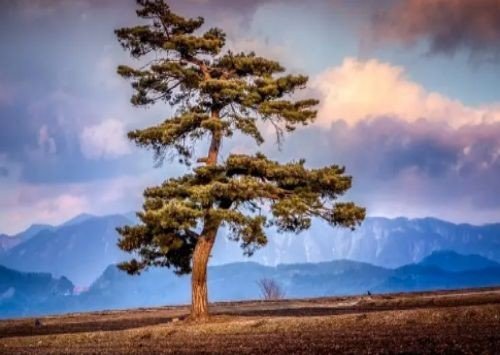 翻山越岭的意思解释