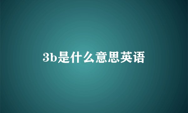 3b是什么意思英语