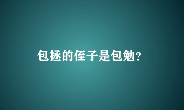 包拯的侄子是包勉？