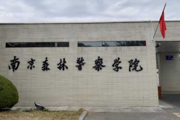 2023南京森林警察学院录取分数线？