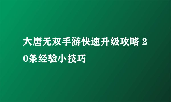 大唐无双手游快速升级攻略 20条经验小技巧