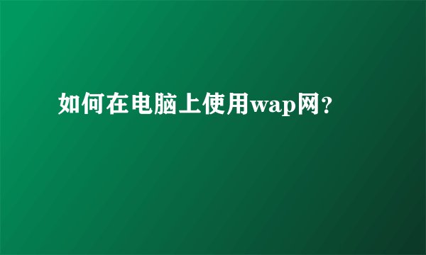 如何在电脑上使用wap网？