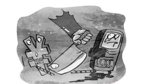 彩蛙网案的介绍