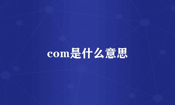 com是什么意思
