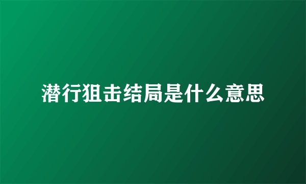 潜行狙击结局是什么意思