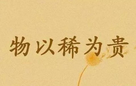 物以稀为贵的意思是