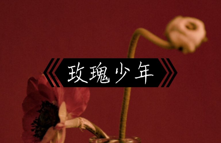 玫瑰少年歌词