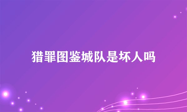 猎罪图鉴城队是坏人吗