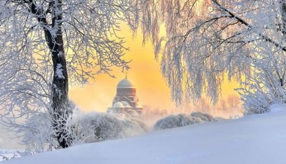 同淋雪共白首完整版