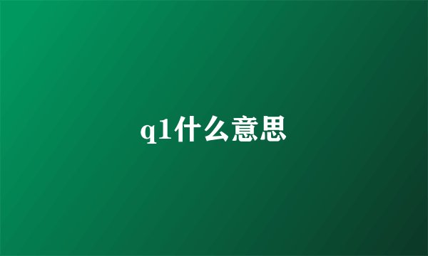 q1什么意思