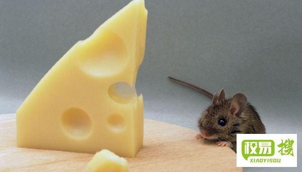 杀声四起是什么生肖