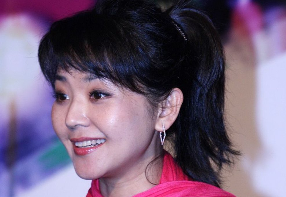 杨扬河北电视台个人资料