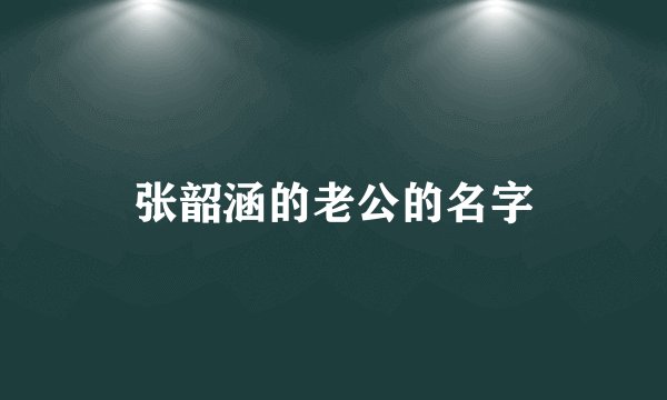 张韶涵的老公的名字