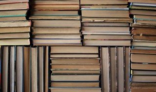 白露未晞是什么意思 白露未晞的含义